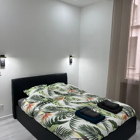 3 Pieces Proche Du Negresco Appartement